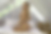 molly-bedroom-tease-104.jpg