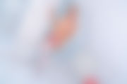 gina-b--201.jpg
