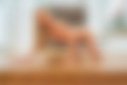 minnie-104.jpg